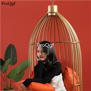 259usd Ngryise 1 Set fashion color bird cage series sofa