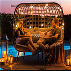 459usd Ngryise 1 Set 173*109*150cm relax minshuku bird cage shape sofa
