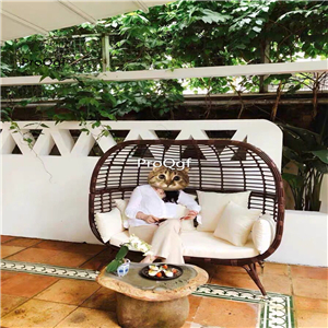 459usd Ngryise 1 Set 173*109*150cm relax minshuku bird cage shape sofa