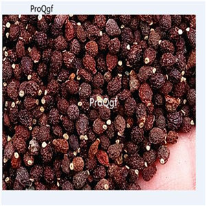 19usd Ngryise 3000Pcs A Set phalaenopsis orchid seed