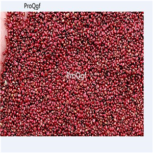 50usd Ngryise 50000Pcs A Set Rare rainbow strawberry seed