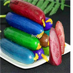 19usd Ngryise 3000Pcs A Set rainbow cucumber seed