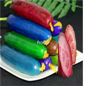 19usd Ngryise 3000Pcs A Set rainbow cucumber seed