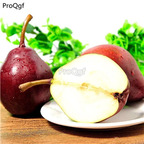 19usd Ngryise 3000Pcs A Set red beer shape pear seed