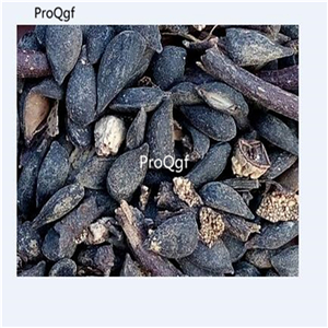 19usd Ngryise 3000Pcs A Set red beer shape pear seed
