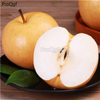 19usd Ngryise 3000Pcs A Set giant fengshuili pear seed
