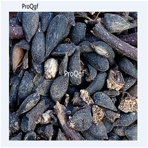 19usd Ngryise 3000Pcs A Set suli pear seed