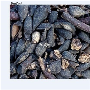 19usd Ngryise 3000Pcs A Set small yali pear seed