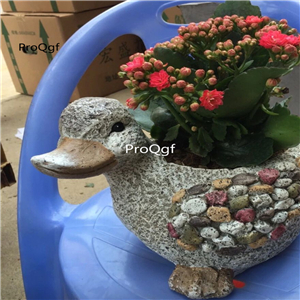 39usd Ngryise 1 Set Creative Europe duck series flower pot statue