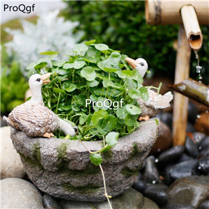 59usd Ngryise 1 Set Creative Europe duck series flower pot statue