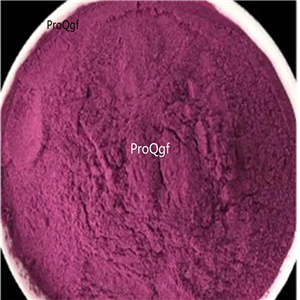 12usd ngryise 200gram Hylocereus undatus powder