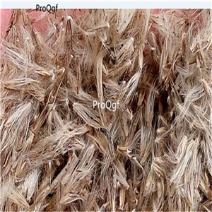 19usd Ngryise 8000Pcs A Set rabbit tail grass seed