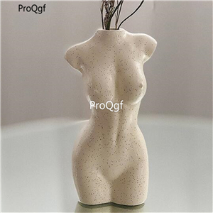 19.9usd Ngryise 1Pcs A Set Body Flower Pot