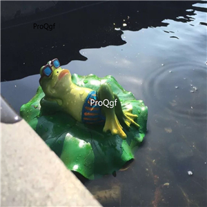 39usd Ngryise 1 Set Creative water decoration frog statue