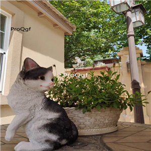 39usd Ngryise 1 Set Creative cat series garden statue