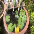 59usd Ngryise 1 Set Creative duck series garden statue