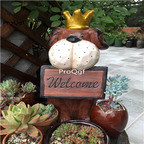 59usd Ngryise 1 Set Creative welcome dog series garden statue