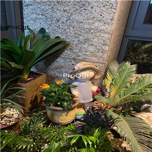 59usd Ngryise 1 Set Creative girl queen series garden statue