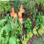 59usd Ngryise 1 Set Creative kiss you rabbit series garden statue