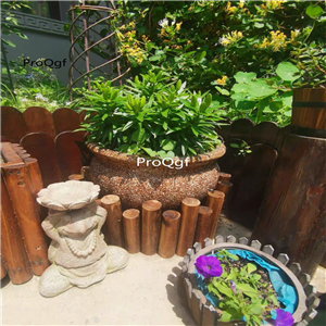59usd Ngryise 1 Set Creative fairy frog series garden statue