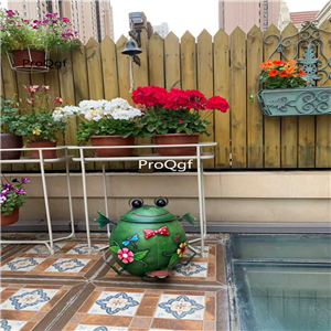 49usd Ngryise 1 Set Minshuku frog trash garden statue