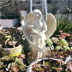 59usd Ngryise 1 Set Minshuku make a wish angel series garden statue