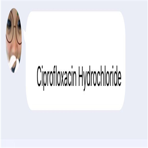 35usd ngryise 50gram Ciprofloxacin Hydrochloride powder