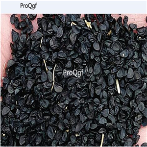 19usd Ngryise 9000Pcs A Set GARLIC CHIVES Allium Tuberosum seed
