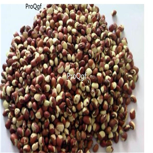19usd Ngryise 2000Pcs A Set Cowpea seed