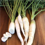 19usd Ngryise 8000Pcs A Set Snow White Carrot Beta-Carotene seed