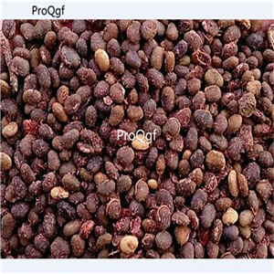 19usd Ngryise 500Pcs A Set PULSATILLA PASQUE huoju seed