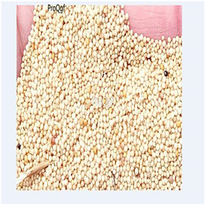 19usd Ngryise 30000Pcs A Set Landscaping Salad Amaranth Love Lies seed
