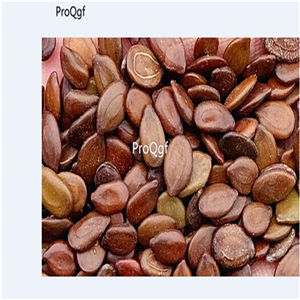 19usd Ngryise 6000Pcs A Set Pink Southern Silk Tree Albizia  seed