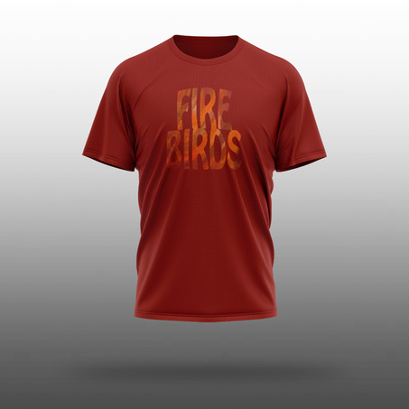 SCIE 运动T恤衫 - T-Shirt (FIRE-红）-旧款校服