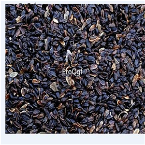 19usd Ngryise 8000Pcs A Set Rhododendron barbatum seed