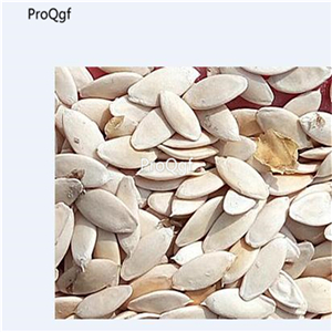 19usd Ngryise 6000Pcs A Set  Indian Gourmet Cucumber Cucumis sativus seed