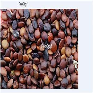 19usd Ngryise 3000Pcs A Set Blue Chaste Shrub Vitex zijin seed