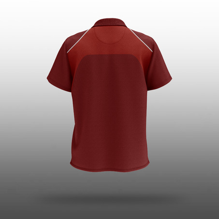 SCIE 男款Polo 衫 - Male Polo Shirt (FIRE-红）-旧款校服-2