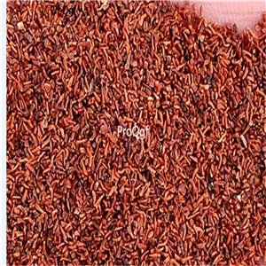 19usd Ngryise 3000Pcs A Set False Boneset seed