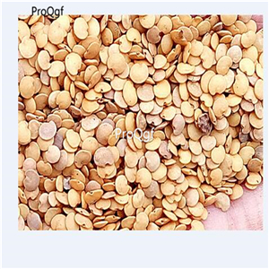 19usd Ngryise 8000Pcs A Set Solanum nigrum seed