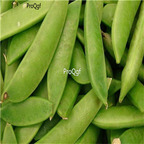 19usd Ngryise 1000Pcs A Set MAMMOTH MELTING SUGAR PEA Pisum Sativum  seed