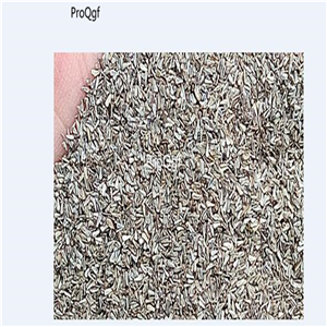 19usd Ngryise 30000Pcs A Set Wild Chamomile wuseju seed