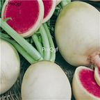 19usd Ngryise 8000Pcs A Set Watermelon Radish  seed