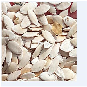 19usd Ngryise 6000Pcs A Set Lemon Cucumber seed