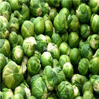19usd Ngryise 5000Pcs A Set Brassica Oleracea Green Long Island Vegetable seed