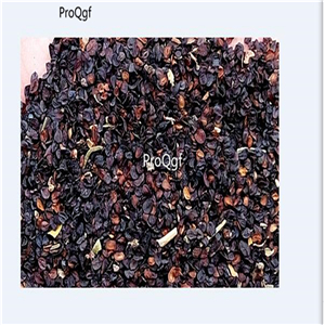 19usd Ngryise 8000Pcs A Set   Carnation Grenadin White seed