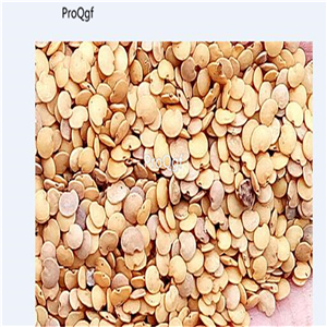 19usd Ngryise 6000Pcs A Set Japanese White Egg Eggplant seed