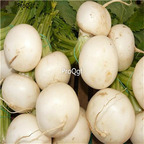 19usd Ngryise 3000Pcs A Set Japanese Brassica Rapa  seed