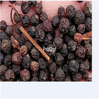 19usd Ngryise 9000Pcs A Set Photinia Fraseri Fraser Photinia Red Robin Hongye Shinan seed