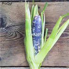 19usd Ngryise 10Pcs A Set blue corn vegetable seed